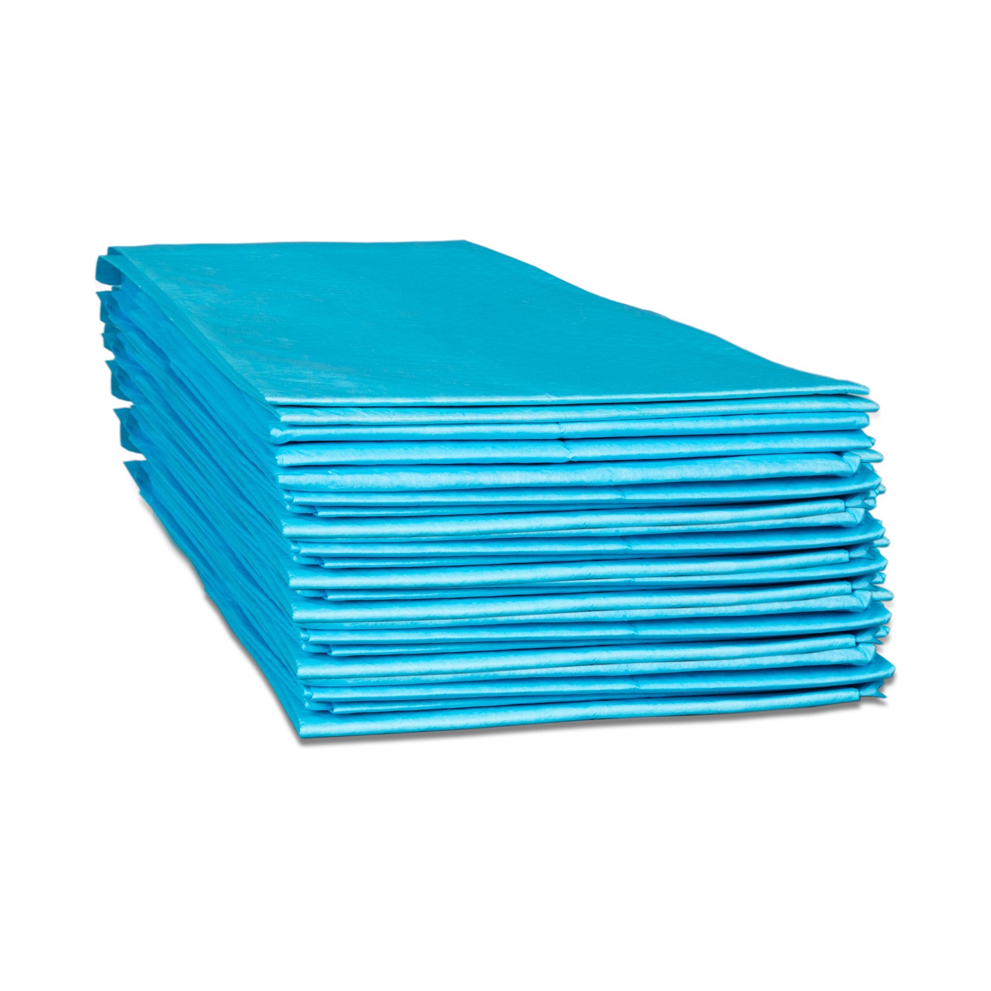 Dukal Disposable Underpad, 23 x 24 in.